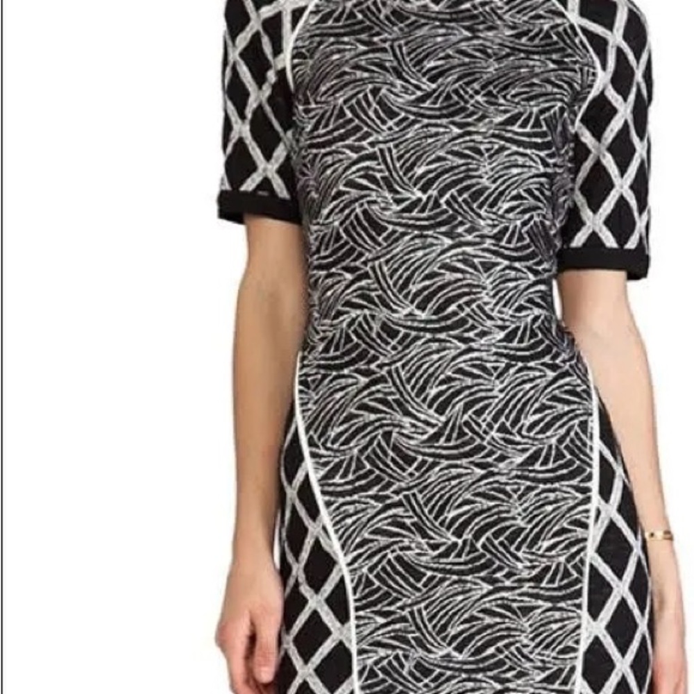 Elizabeth and James Black and White Sheath Dress with Crew Neck